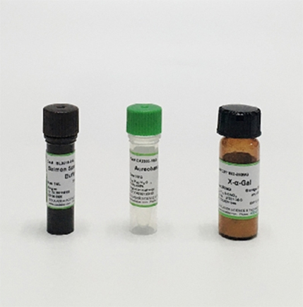 卡那霉素储存液(100mg/ml)