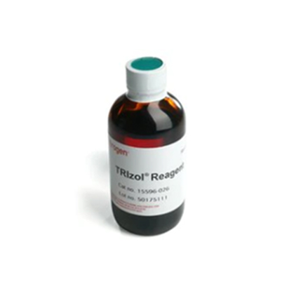 TRIzol™ 试剂 15596026-100ml Invitrogen